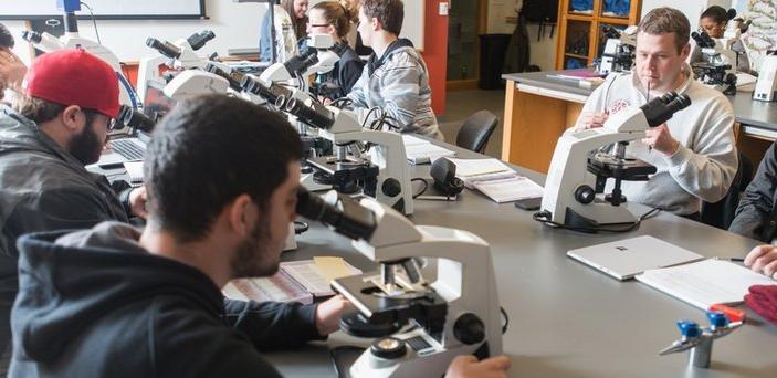 students at tables working with microscopes