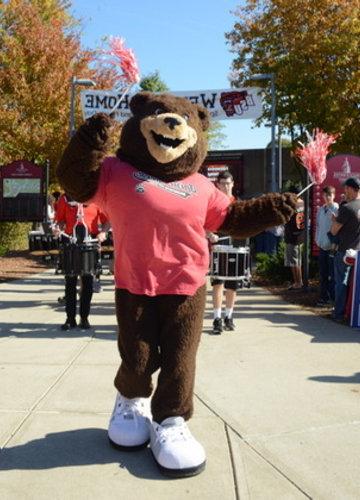 Bristaco the Bear waving tassels while leading the BSU marching band on campus